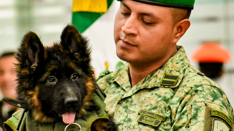 Η Τουρκία δώρισε στο Μεξικό κουτάβι μετά την απώλεια ειδικά εκπαιδευμένου σκύλου στον σεισμό της 6ης Φεβρουαρίου