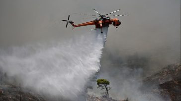Πυρκαγιά σε δύσβατη δασική έκταση στην Ελασσόνα