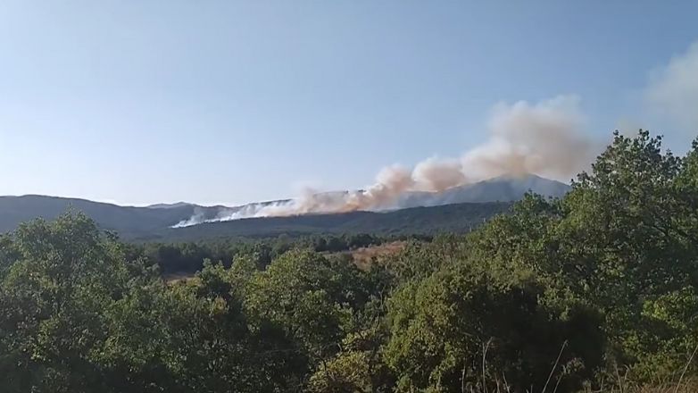 Μάχη με τις αναζωπυρώσεις σε Έβρο και Ροδόπη – Διάσπαρτες εστίες στην Πάρνηθα