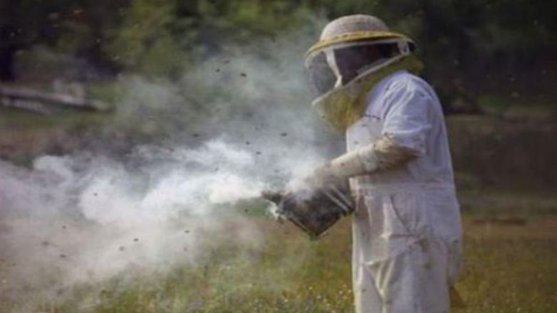 Απεβίωσε ο εγκαυματίας μελισσοκόμος από την Κ. Τιθορέα – Στους επτά οι νεκροί από τις πυρκαγιές