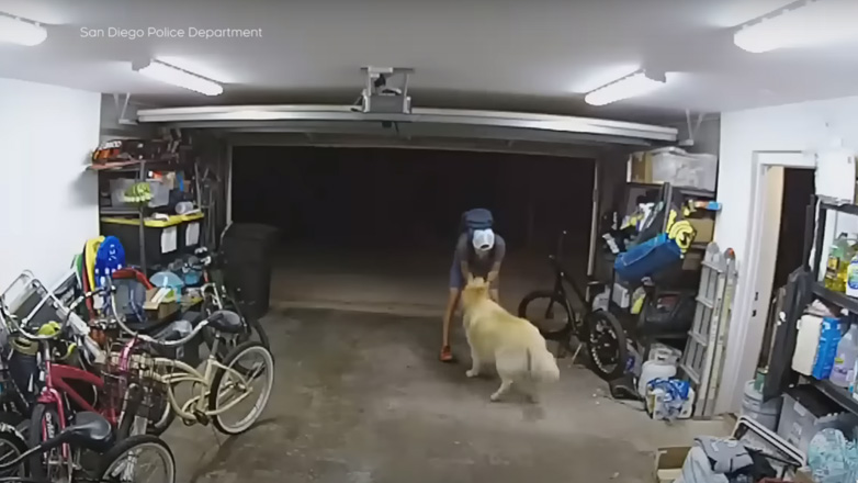 Σταματά να χαϊδέψει τον σκύλο πριν κλέψει το ποδήλατο από το γκαράζ