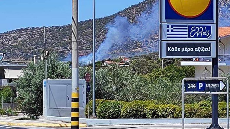 Πυρκαγιά σε χαμηλή βλάστηση στον Κουβαρά