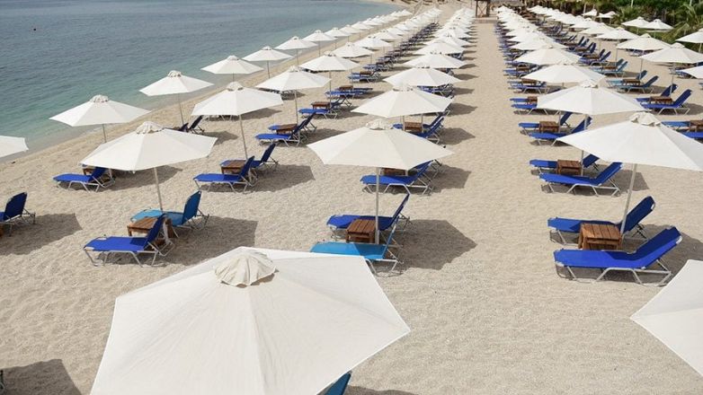 Διευκρινήσεις της ΕΛ.ΑΣ για τον ξυλοδαρμό στη Χαλκιδική