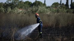 Πυροσβεστική: 41 δασικές πυρκαγιές εκδηλώθηκαν το τελευταίο εικοσιτετράωρο