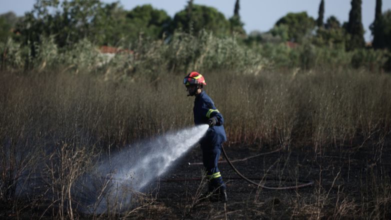 Πυροσβεστική: 41 δασικές πυρκαγιές εκδηλώθηκαν το τελευταίο εικοσιτετράωρο