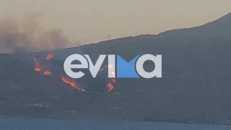 Πυρκαγιά στην Κάρυστο