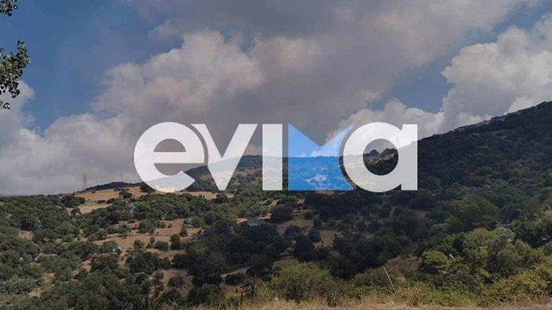 Μεγάλη φωτιά στην Κάρυστο καίει σε δύσβατη περιοχή – Σηκώθηκαν εναέρια μέσα
