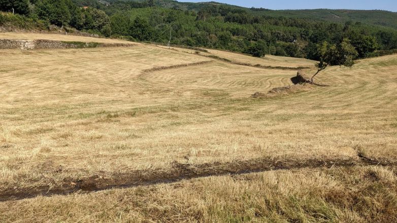 Ένα ρέμα που έσκαψε ο Γκόμες για να διαχειριστεί τη ροή του νερού από το ποτάμι πάνω από τα χωράφια του