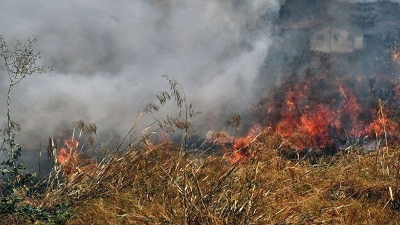 Υπό μερικό έλεγχο οι πυρκαγιές σε Κάρυστο και Πύλο