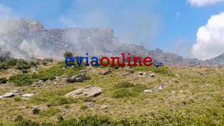 Πυρκαγιά στην Εύβοια