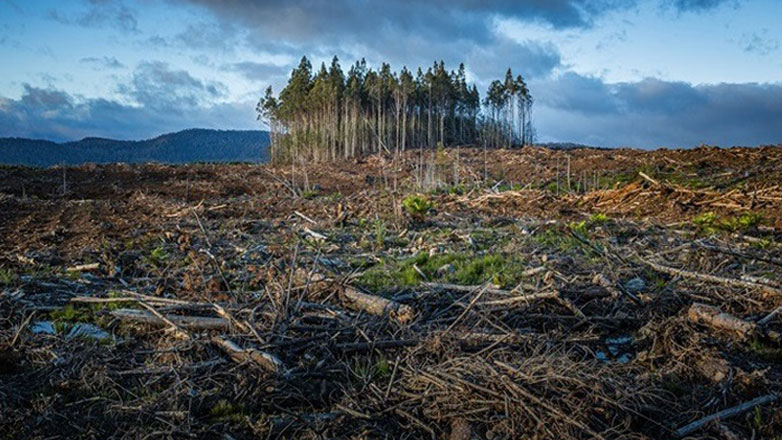 ΗΠΑ: Υπάρχουν 50% πιθανότητες το 2023 να είναι η πιο ζεστή χρονιά που έχει καταγραφεί ποτέ