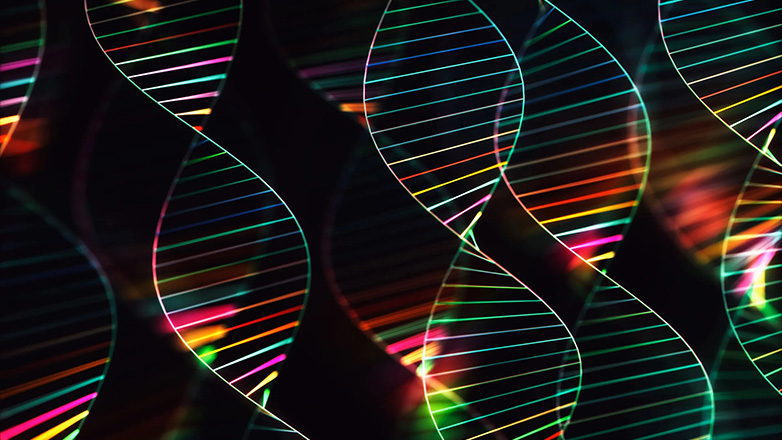 Τα μυστήρια γονίδια που μας κρατούν ζωντανούς