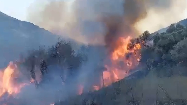 Ηράκλειο: Οριοθετήθηκε η πυρκαγιά στο Σινάπι