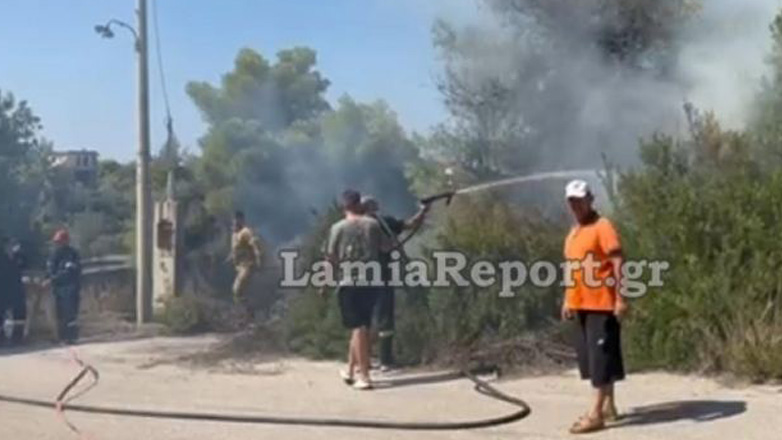Φθιώτιδα: Συναγερμός στον Θεολόγο για πυρκαγιά μέσα στα σπίτια