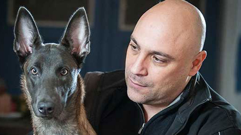 Ο αρχηγός της αγέλης