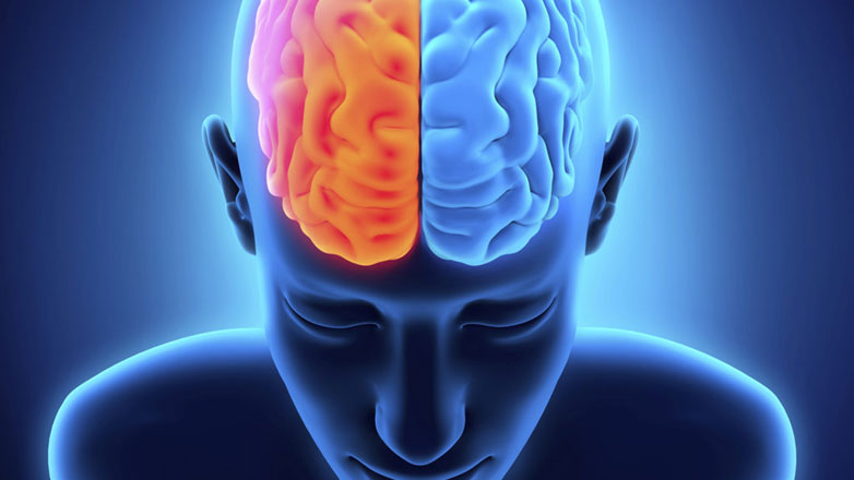 Ο ανδρικός εγκέφαλος κατά τη διάρκεια της σεξουαλικής διέγερσης