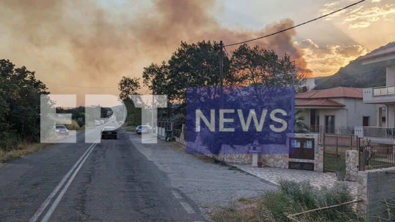 Οριοθετήθηκε η πυρκαγιά στη Ροδόπη