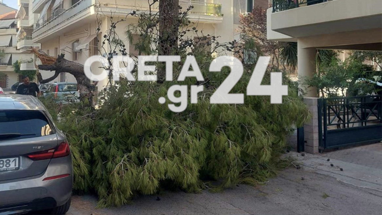 «Ξύπνησαν» μνήμες έναν χρόνο μετά την τραγωδία – Έπεσε ξανά δέντρο στο Ηράκλειο