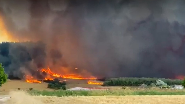 Φωτιά στην Αλεξανδρούπολη: Άλλη μία δύσκολη νύχτα με ριπές ανέμου έως 7 μποφόρ