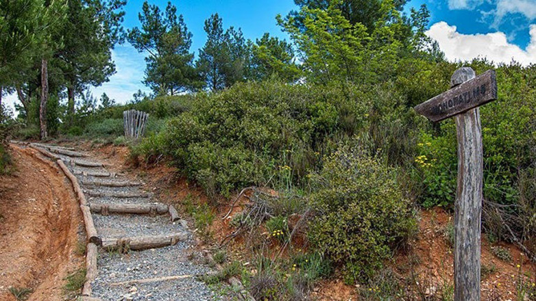 Παρατείνεται η απαγόρευση κυκλοφορίας στο Σέιχ Σου