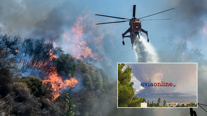 Σε εξέλιξη η φωτιά στα Ψαχνά Ευβοίας