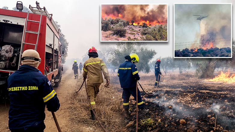 Σε εξέλιξη το «πύρινο» μέτωπο στα Ψαχνά Ευβοίας