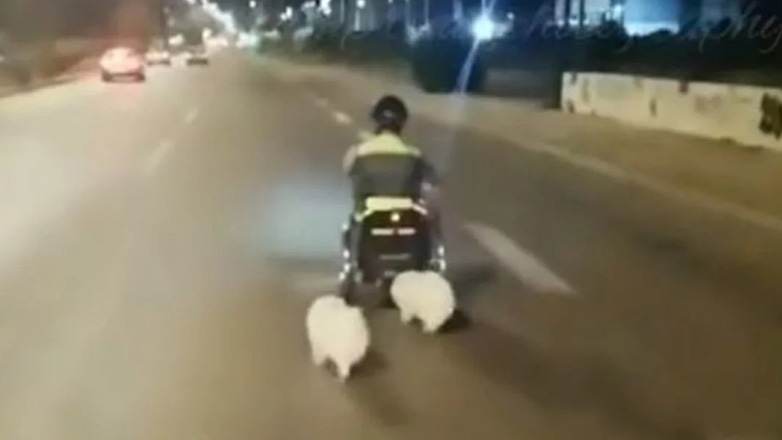 Βάρκιζα: 87χρονος ο οδηγός που παρέσυρε και σκότωσε 40χρονο με αναπηρικό αμαξίδιο