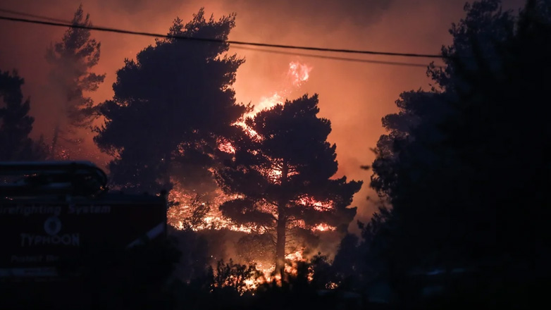 Ανείπωτη τραγωδία στο δάσος της Δαδιάς