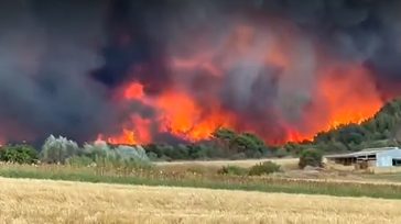 Πυροσβεστική: 93 νέες αγροτοδασικές πυρκαγιές το τελευταίο εικοσιτετράωρο 