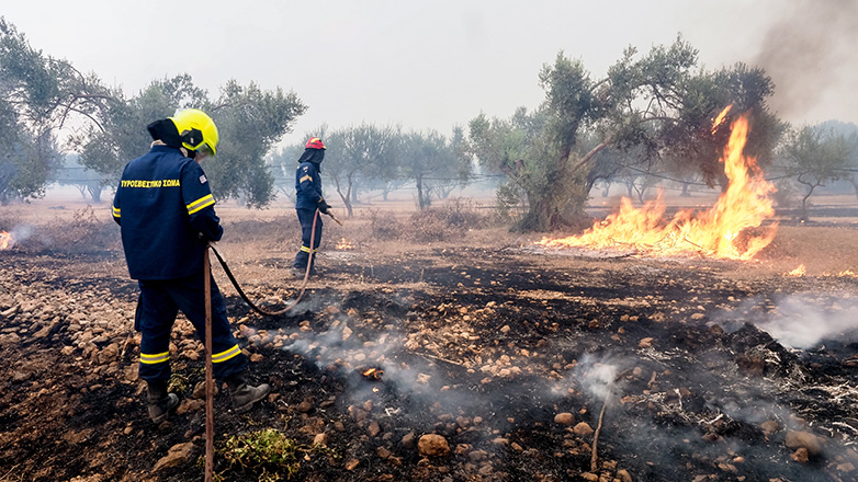 Μεγάλο το μέτωπο στη Νέα Αρτάκη και τα Ψαχνά Ευβοίας