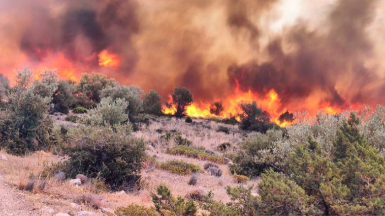Βοιωτία: Μήνυμα 112 για εκκένωση της περιοχής Ζάλτσα