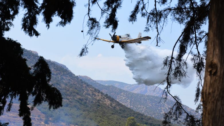 Υπό μερικό έλεγχο η φωτιά σε δασική έκταση στην Σκιόεσσα Αχαΐας