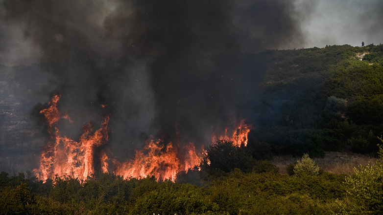 Κεφαλονιά: Κρατείται εποχικός πυροσβέστης που φέρεται να προκάλεσε δασικές πυρκαγιές