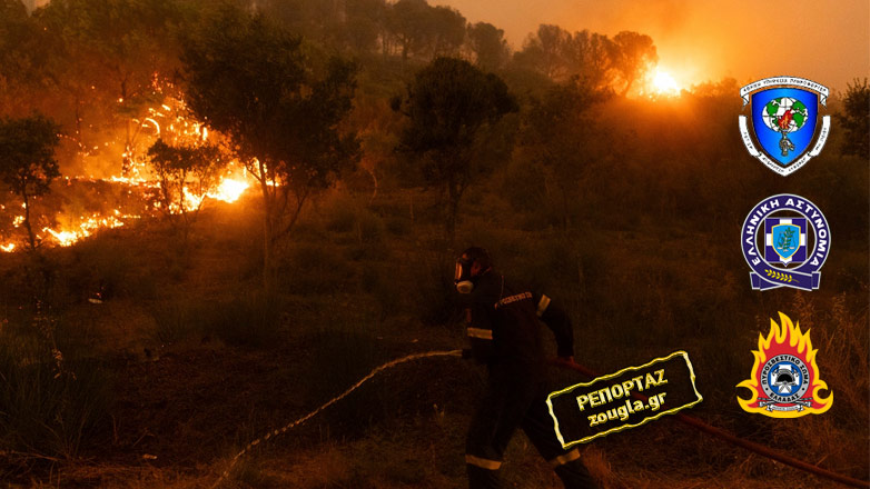 Τι διερευνούν ΕΥΠ, Πυροσβεστική και ΕΛ.ΑΣ. για τους εμπρησμούς