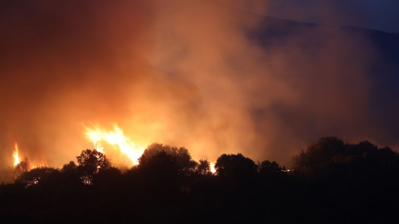 Ελεύθεροι αφέθηκαν οι τρεις προσαχθέντες για εμπρησμό σε Μενίδι και Αυλώνα – Κρατείται ο 45χρονος πρώην δικηγόρος
