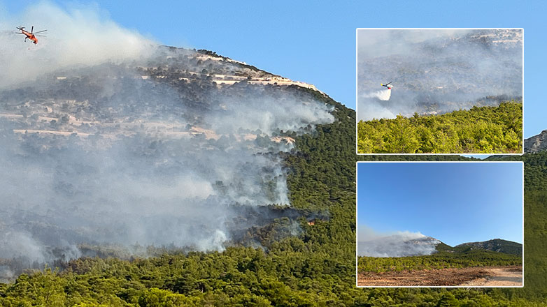Αναζωπυρώθηκε η φωτιά στους πρόποδες της Πάρνηθας