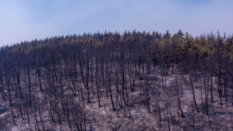 Meteo: Πάνω από 1.200.000 στρέμματα έχουν καεί το 2023