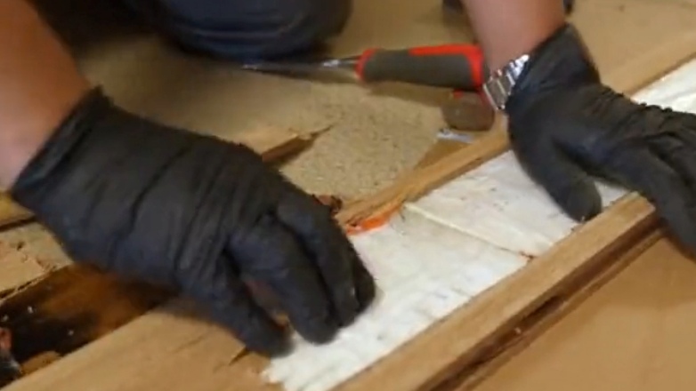 Η Πολωνία ανακοίνωσε την κατάσχεση κοκαΐνης αξίας 40 εκατ. ευρώ