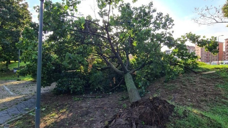 Μεγάλη νεροποντή στο Μιλάνο – Έπεσαν δέντρα και υπέστησαν ζημιές στέγες σπιτιών