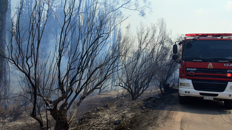 Αναζωπυρώσεις σε Έβρο, Πάρνηθα, Βοιωτία – Συνολικά 122 πυρκαγιές σε όλη την επικράτεια