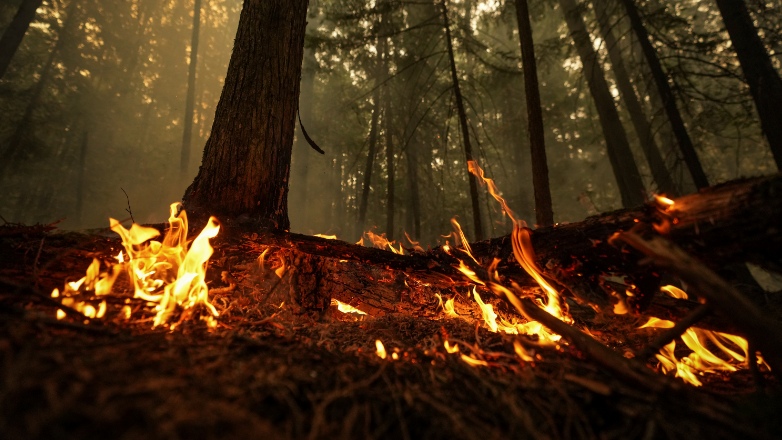 Καναδάς: Εντολή εκκένωσης της πόλης Χέι Ρίβερ που απειλείται από δασική πυρκαγιά