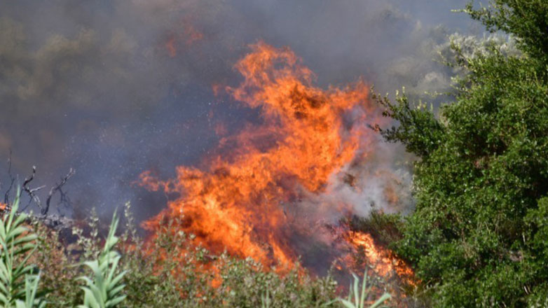 Κάρυστος: Στη φυλακή ο 20χρονος που προκάλεσε πέντε εμπρησμούς από πρόθεση