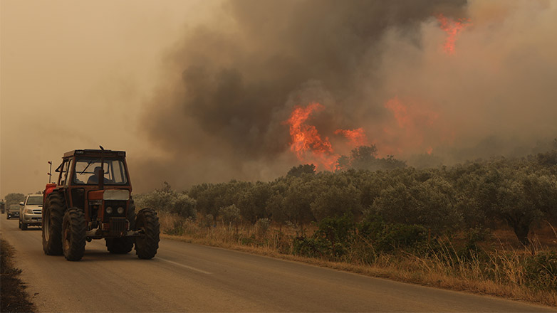 Ακάθεκτη η φωτιά στον Έβρο
