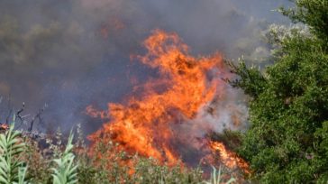 Λάρισα: Στον Εισαγγελέα ο 70χρονος με την κατηγορία του εμπρησμού