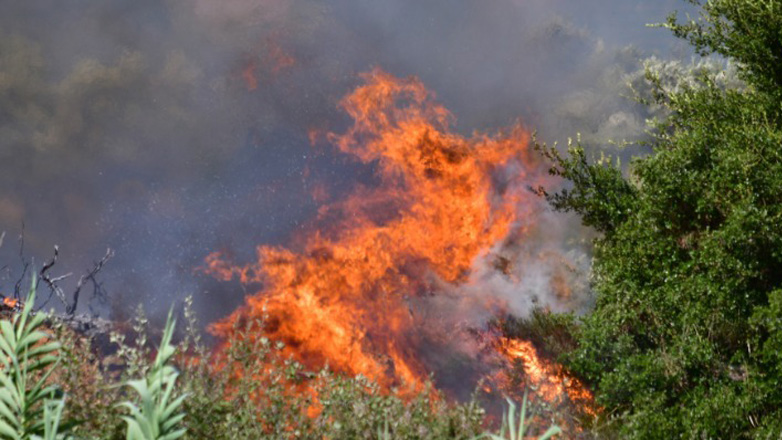 Λάρισα: Στον Εισαγγελέα ο 70χρονος με την κατηγορία του εμπρησμού