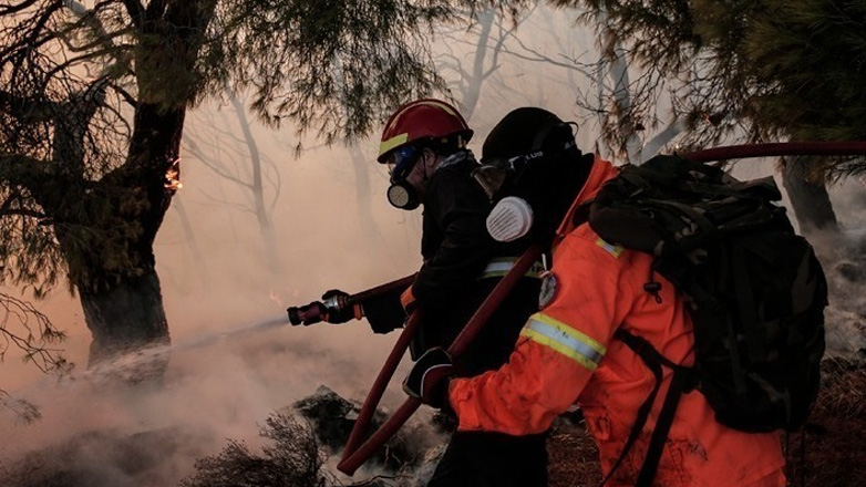 Ολονύχτια μάχη με τις αναζωπυρώσεις σε Έβρο και Ροδόπη