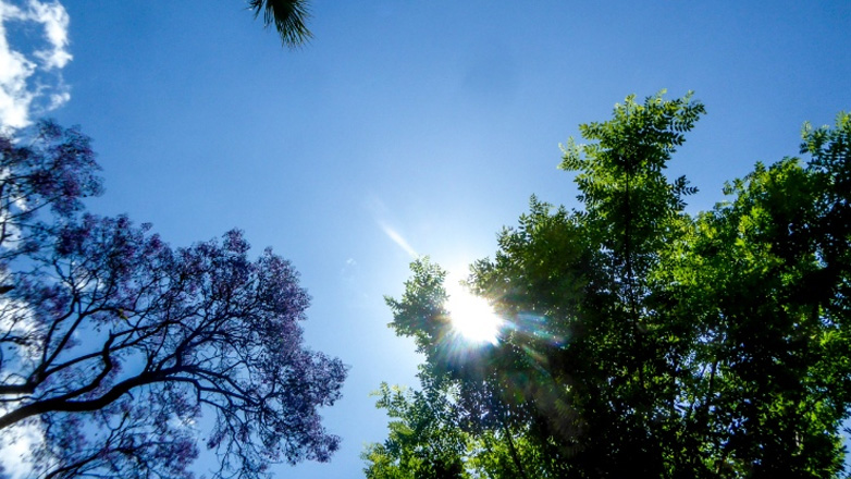 Ο καιρός σήμερα