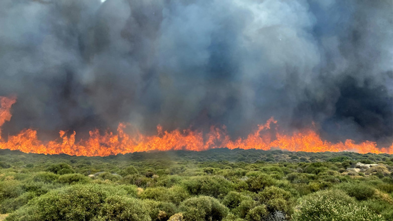 Πυρκαγιά στην Άνδρο: Συγκλονισμένος ο οδηγός υδροφόρας που άρπαξε φωτιά – «Νόμιζα ότι ήρθε το τέλος»
