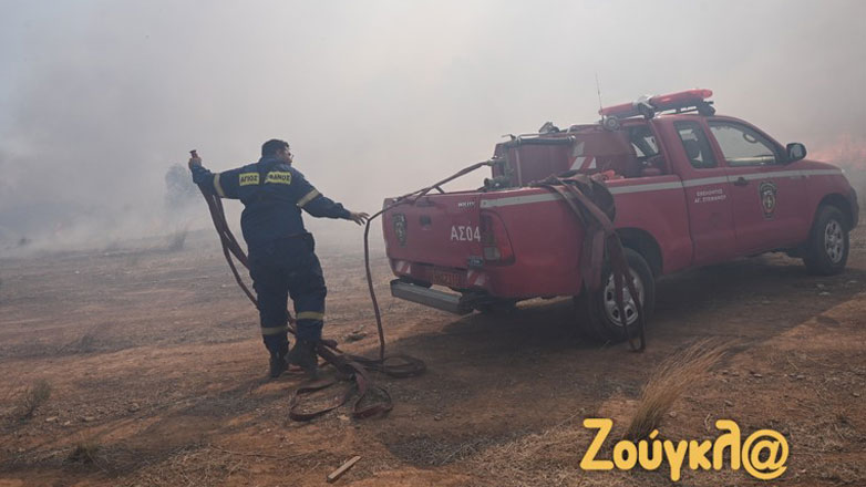 Κρανίο εντόπισαν εθελοντές στην καμένη περιοχή της Φυλής