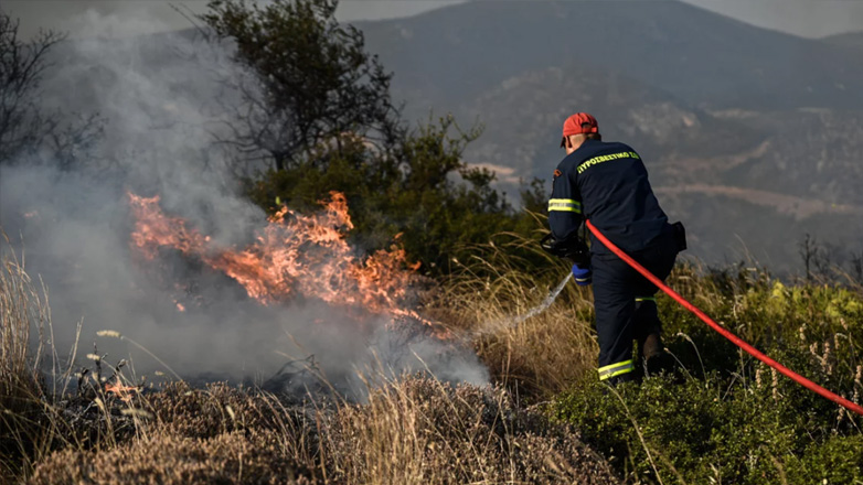 Φωτιά στη Μεσσηνία: Διπλό μέτωπο σε Πλάτσα και Καλό Νερό
